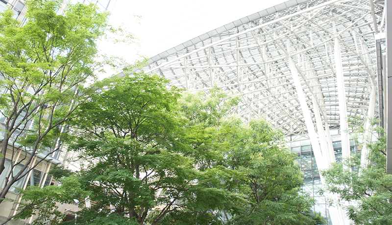 糖果派对2一把中30万会员注册 イ・チャンヨン記者lcy100【ToK8.me】関連記事リュ・ヒョンジン